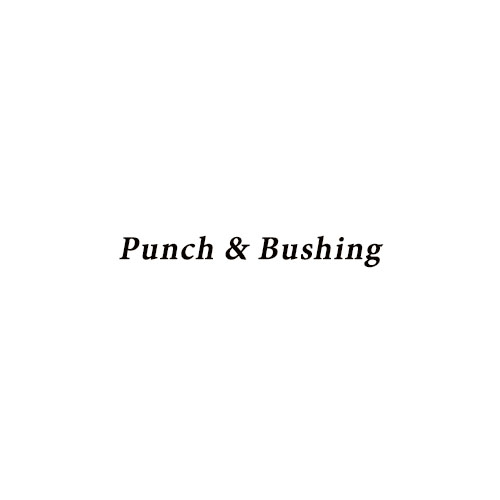 Punch & Bushing