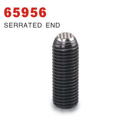 Swivel Clamping Screw